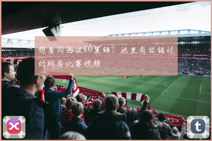 想看闫西波KO集锦?这里有你错过的所有比赛视频