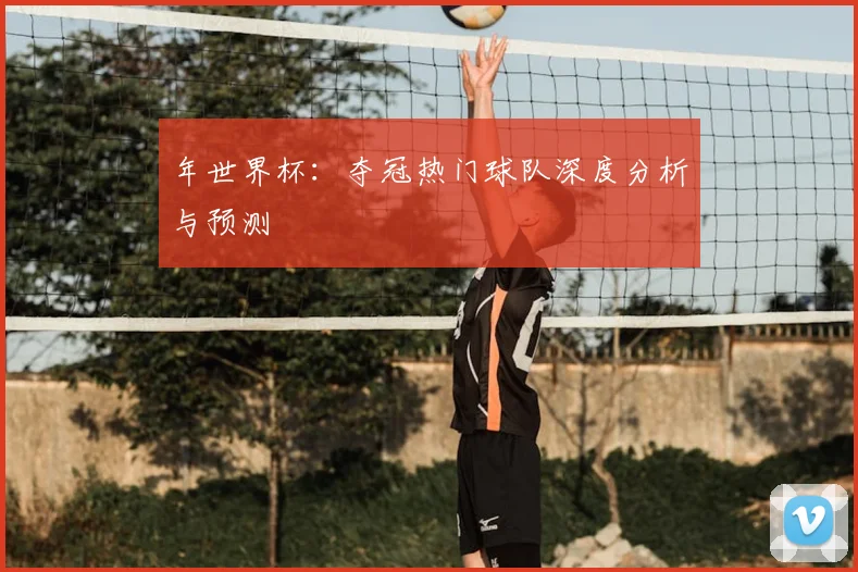 年世界杯：夺冠热门球队深度分析与预测