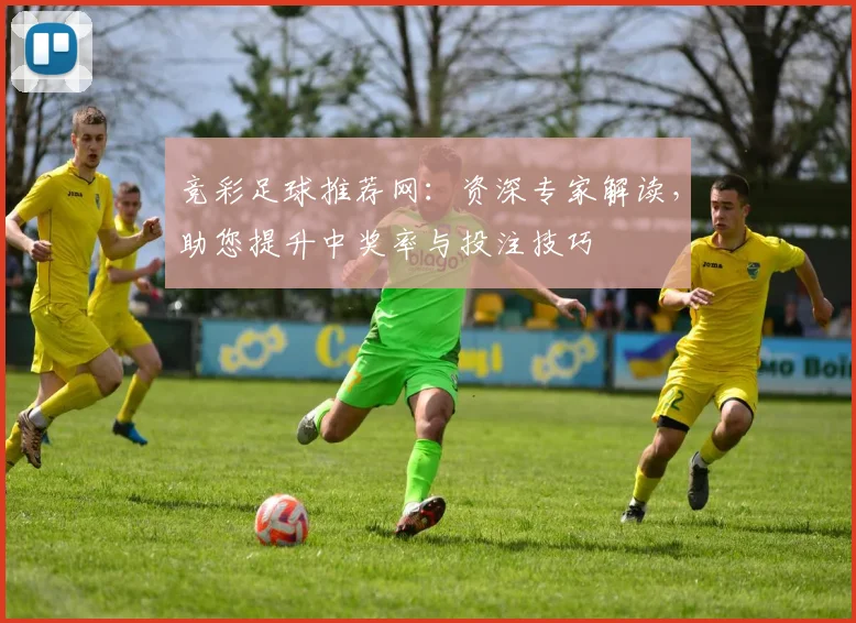 竞彩足球推荐网:资深专家解读,助您提升中奖率与投注技巧