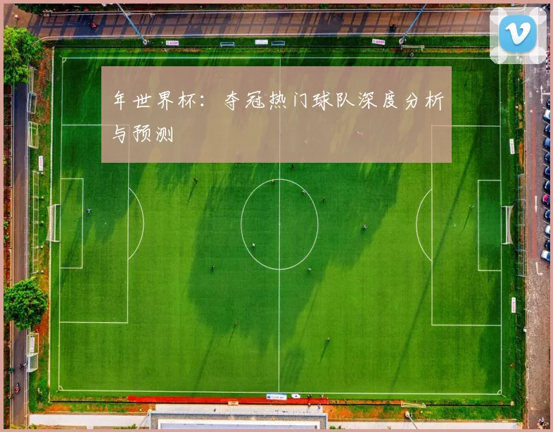 年世界杯:夺冠热门球队深度分析与预测